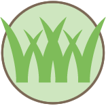 Front Yard Dethatching Pros