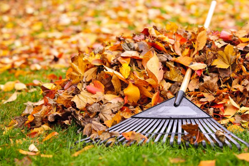 Fall Leaf Mulching