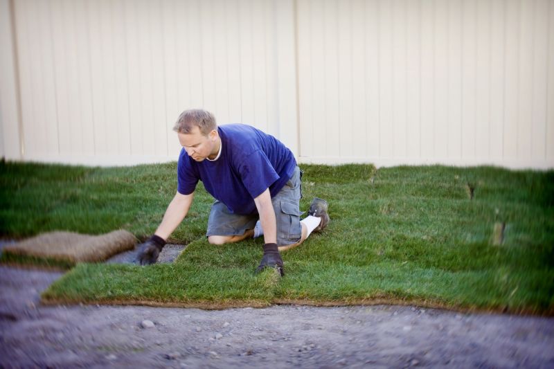 Fescue Sod Installation in Rockwall, TX