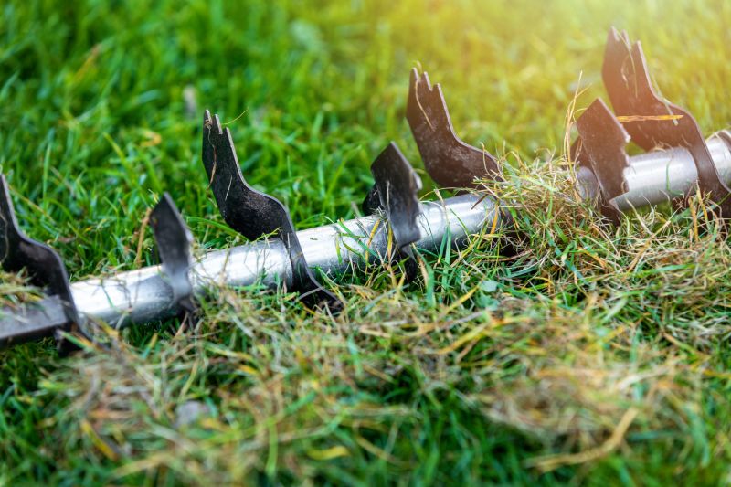 Front Yard Dethatching