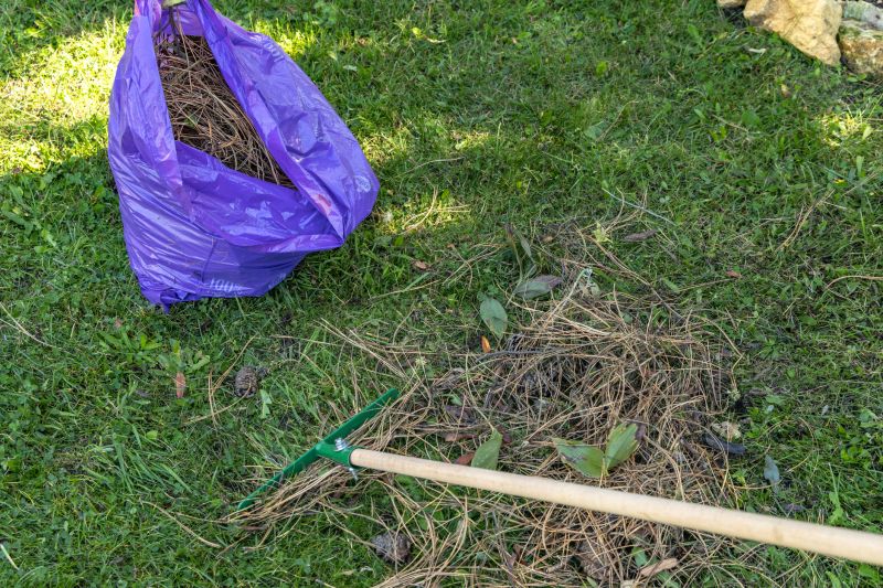 Seasonal Lawn Care Tools
