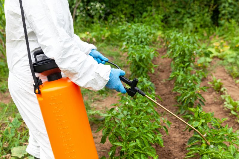 Slope Weed Control in Honolulu, HI