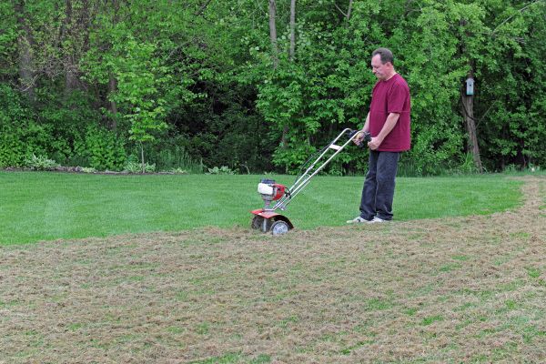Dethatching Service - Dethatching Service Baltimore, Maryland