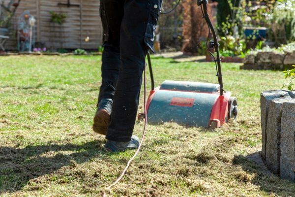 Lawn Power Raking - Lawn Power Raking Salem, Oregon