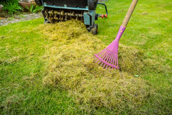 Lawn Thatch Control